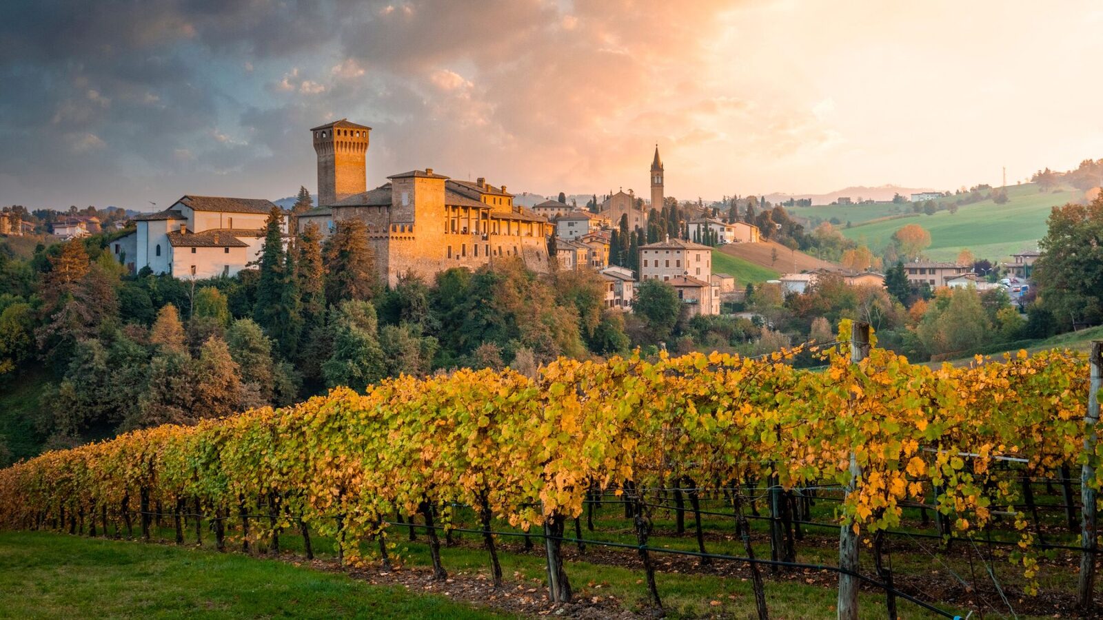 Emilia-Romagna — vineyard landscape near Modena, the heartland of the Lagotto Romagnolo